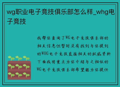 wg职业电子竞技俱乐部怎么样_whg电子竞技